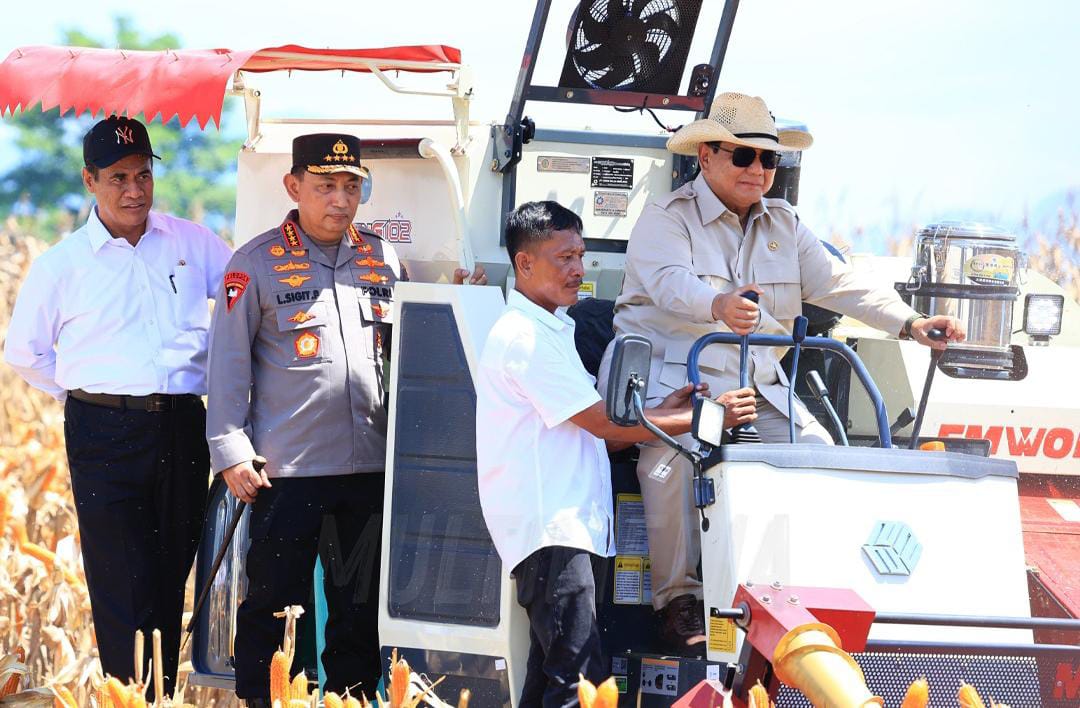 Presiden RI Jenderal TNI (Purn.) H. Prabowo Subianto menyambut panen raya jagung