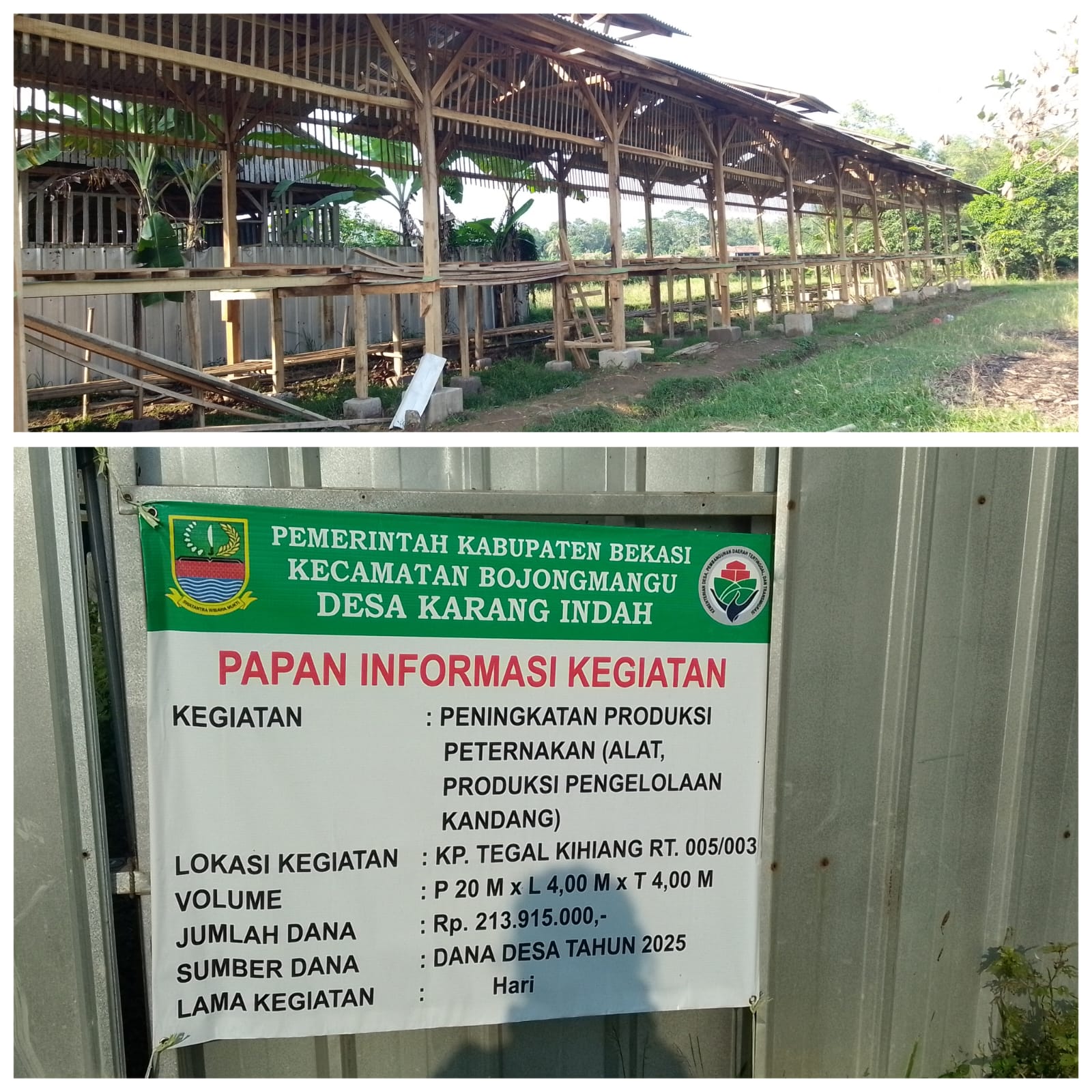 Realisasi Fiktif? Dana Desa Karang Indah 2024-2025 Untuk Peternakan Diduga Dikorupsi